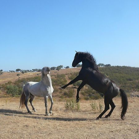 Naveterra-Hotel Rural الأندروال المظهر الخارجي الصورة