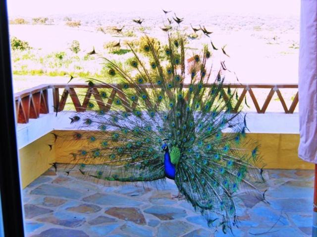 Naveterra-Hotel Rural الأندروال المظهر الخارجي الصورة