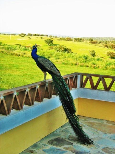 Naveterra-Hotel Rural الأندروال المظهر الخارجي الصورة