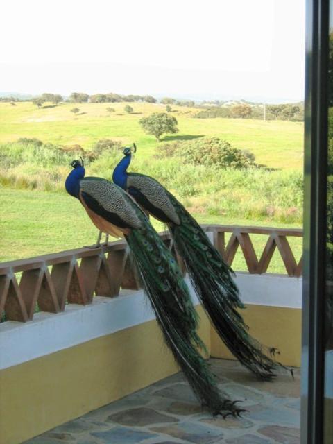 Naveterra-Hotel Rural الأندروال المظهر الخارجي الصورة