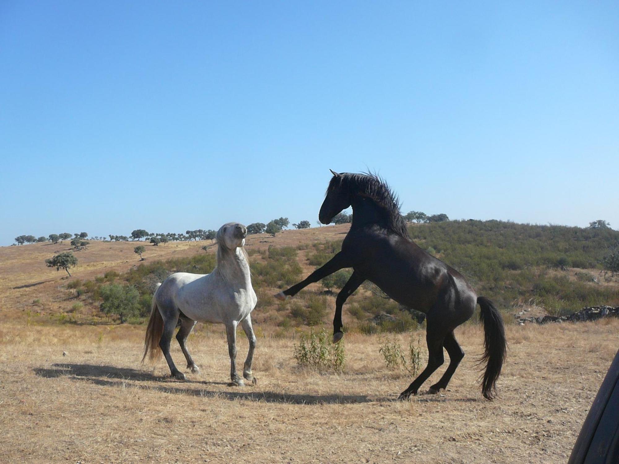 Naveterra-Hotel Rural الأندروال المظهر الخارجي الصورة