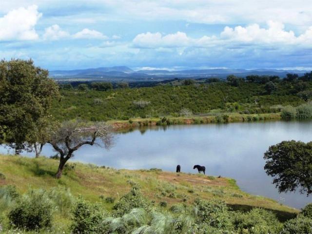 Naveterra-Hotel Rural الأندروال المظهر الخارجي الصورة