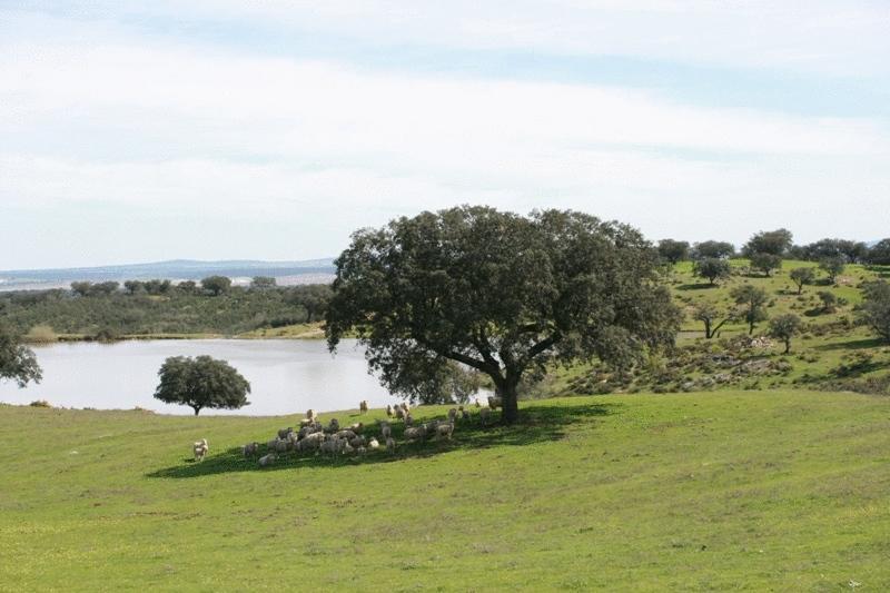 Naveterra-Hotel Rural الأندروال المظهر الخارجي الصورة