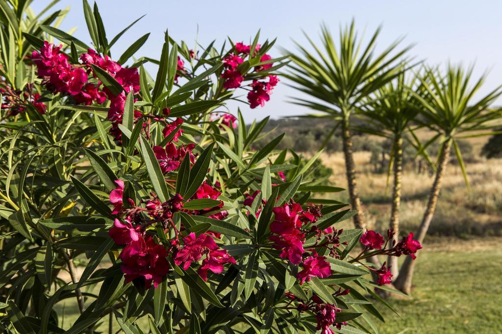 Naveterra-Hotel Rural الأندروال المظهر الخارجي الصورة